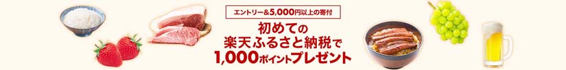 ふるさと納税