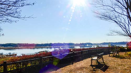 高野山公園