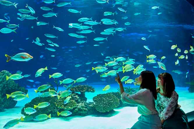 水族館